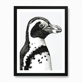 African Penguin Staring Curiously 4 Art Print