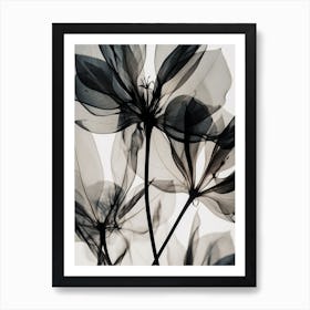 Black White Photograph Flowers 1 Art Print