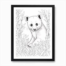 Line Art Jungle Animal Coati 1 Art Print