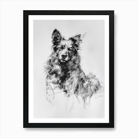 Icelandic Sheepdog Dog Charcoal Line 2 Art Print