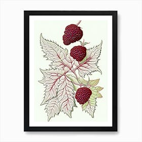 Red Raspberry Herb William Morris Inspired Line Drawing 1 Art Print