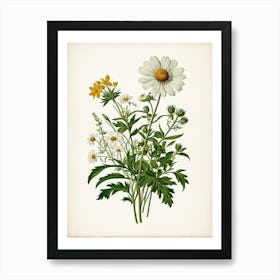 Vintage Botanical Galleria Style Wildflower Painting 45 Art Print