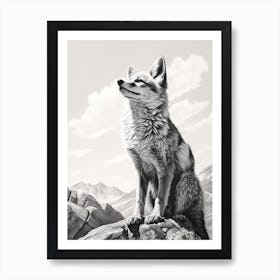 Tibetan Sand Fox Portrait Pencil Drawing 4 Art Print