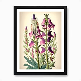 Foxglove 3 Floral Botanical Vintage Poster Flower Art Print