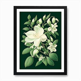 Jasmine Floral 2 Botanical Vintage Poster Flower Art Print