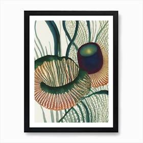 Lobed Comb Jelly Vintage Graphic Watercolour Art Print