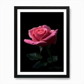 Pink Rose On Black Background 2 Art Print