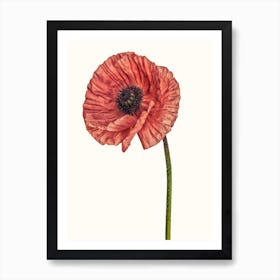 Poppy Pink 01 B Art Print