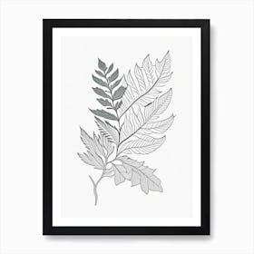 Curry Leaf Herb William Morris Inspired Line Drawing 1 Art Print