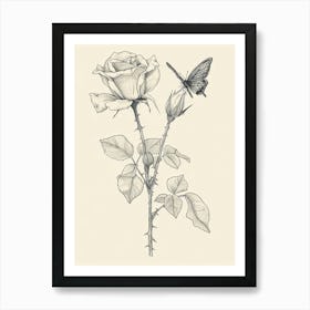 English Rose Butterfly Line Drawing 4 Art Print