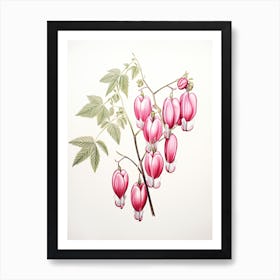 Bleeding Hearts Flower Vintage Botanical 3 Art Print