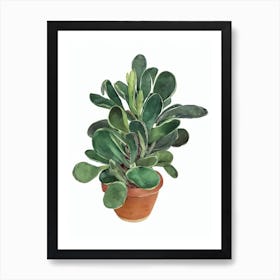 Panda Plant (Kalanchoe Tomentosa) Watercolor Art Print