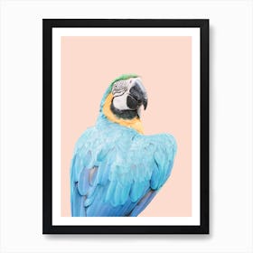 Blue Ara Art Print