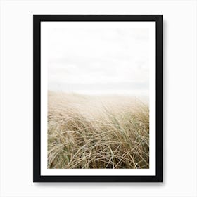 Dune Grass At The Beach Art Print Art Print