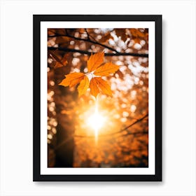 Autumn Leaves In The Sunlight 2 Art Print