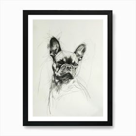 French Bulldog Charcoal Line 3 Art Print