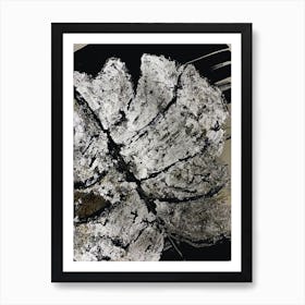 Silver foil Monstera Leaf Black Ink Art Print