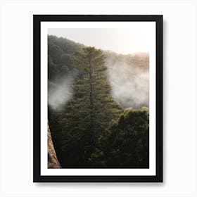 Mystical Sintra Foggy Forest Escape Art Print