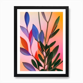 Kalanchoe Colourful Illustration Art Print