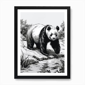 Giant Panda Standing On A Riverbank Ink Illustration 2 Art Print