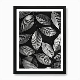 Black And White Leaves 5 Art Print