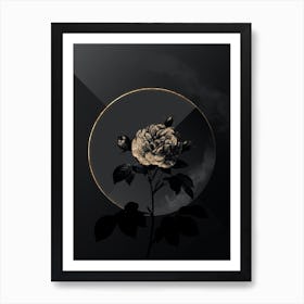 Shadowy Vintage Rosa Alba Botanical in Black and Gold n.0126 Art Print