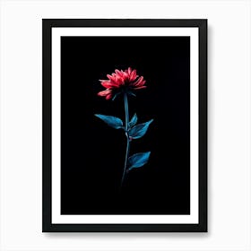 Red Dahlia Flower Art Print