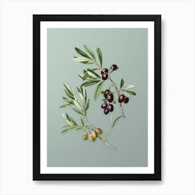 Vintage Olive Botanical Art on Mint Green n.0426 Art Print