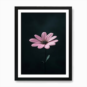 Daisy 16 Art Print