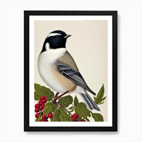 Carolina Chickadee James Audubon Vintage Style Bird Art Print