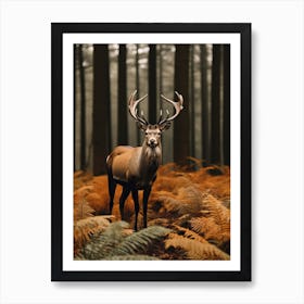 Deer In The Forest 5 Art Print