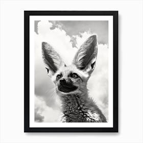 Bat Eared Fox Looking At The Sky Pencil Drawing 3 Art Print