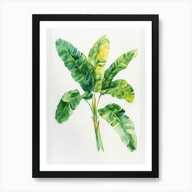 Banana Leaf Painting Art Print