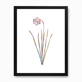 Stained Glass Narcissus Poeticus Mosaic Botanical Illustration on White Art Print