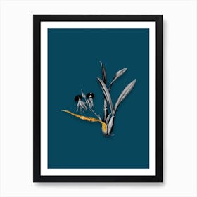 Vintage Clamshell Orchid Black and White Gold Leaf Floral Art on Teal Blue n.0119 Art Print