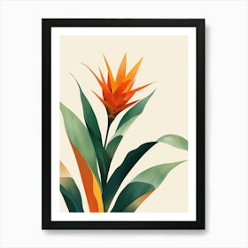 Bromeliad Plant Minimalist Illustration 2 Art Print