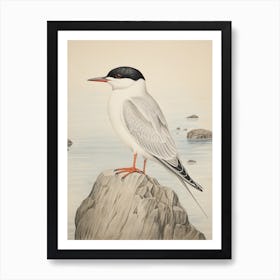 Vintage Bird Drawing Common Tern 1 Art Print