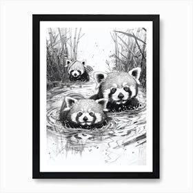 Red Panda Family Swimming Ink Illustration A River Ink Illustration 4 Art Print