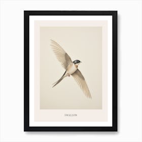 Vintage Bird Drawing Swallow 1 Poster Art Print