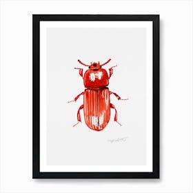 Uloma culinaris, a darkling beetle, watercolor artwork Art Print