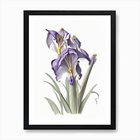 Iris Floral Quentin Blake Inspired Illustration 3 Flower Art Print