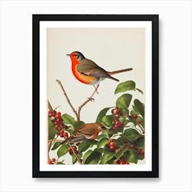 European Robin James Audubon Vintage Style Bird Art Print