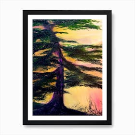 Sunset Cypress Art Print