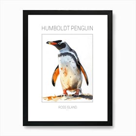 Humboldt Penguin Ross Island Watercolour Painting 1 Poster Art Print