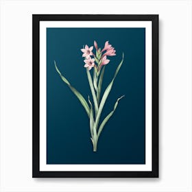 Vintage Sword Lily Botanical Art on Teal Blue 1 Art Print