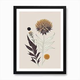 Elecampane Spices And Herbs Retro Minimal 3 Art Print