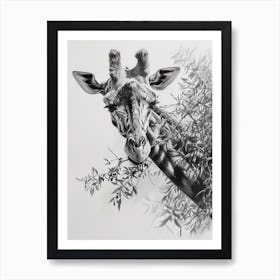Pencil Portrait Of A Giraffe In The Trees 4 Art Print