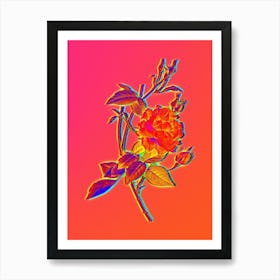 Neon Blood Red Bengal Rose Botanical in Hot Pink and Electric Blue n.0444 Art Print