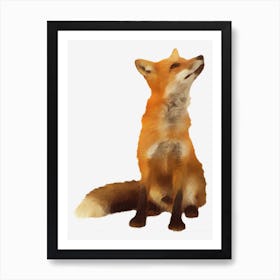 Red Fox Art Print