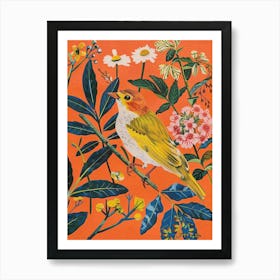 Spring Birds Baldpate 2 Art Print